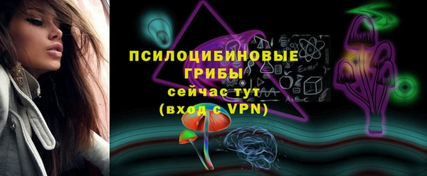 шишки Кулебаки