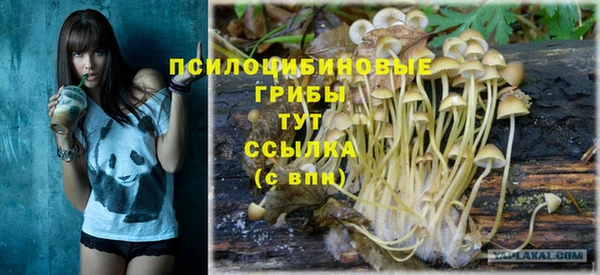 шишки Кулебаки