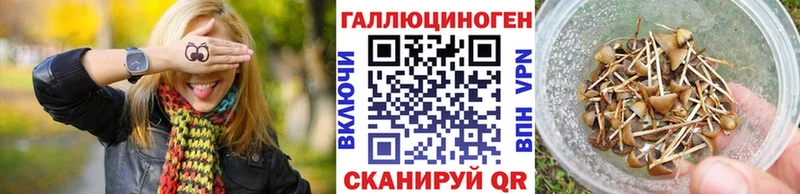 Псилоцибиновые грибы мицелий  гидра зеркало  Ачинск 