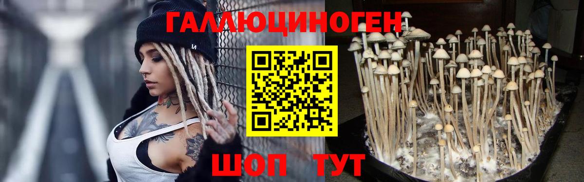 Галлюциногенные грибы Cubensis Ачинск